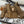 Burberry 25 Jacket Brown Down Nylon