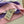 Fendi 26s Striped Polo Shirt Pink Purple Knit 363765