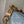 COUSSIN BB 21 IN LIGHT BLUE MONOGRAM DENIM GOLD CHAIN