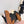 Miu 25C Ruches nappa Loafers Copper Brown Suede 235807