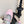 CL Les Ballerines Double Strap Ballerina In Light Pink Lambskin 325024