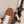 Celine Racer Low Top Sneaker Brown Suede Calfskin 606409