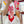 Le Cheval De Kazumi Scarf 90 CM Red Colorful Silk Twill 347388