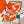Choregraphie Equestre Scarf 140 CM Orange Colorful Cashmere And Silk 393170