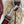 GG Tag Medium Crossbody Bag Beige Canvas