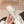 cc slingbacks 55 white red lambskin embroidery grosgrain