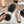 Women's Beige Cream Sneaker Breathable mesh