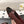 cc 25c ballet flat cross line pattern burgundy lambskin 237483