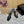 SL STRAP CRYSTAL HIGH SANDAL BLACK SATIN
