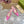 WOMEN'S HORSEBIT SLINGBACK PUMP BRIGHT PINK CANVAS
