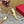 HIGH PUMP MULE 80MM IN GOLD CALFSKIN