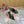 DC Keira Open-Toe Mules Green Leopard-Print & Sheepskin 926001