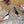 DC Rhinestone Buckle Mules Light Pink Silk & Sheepskin 926019