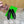 BV Grained Black Calfskin Adamo Slippers 957407