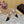 Alaila Mule 100mm In Black Lambskin 957217