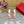 VT High Heels Sandals 110mm Nude Calfskin 286480