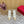 Rockstud Pump In Dark Beige Mix White Pied-de-poule Fabric And Cowhide 95mm 102083