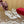 Rockstud Metallic Ankle Strap Pump 95mm White Lambskin And Lace Fabric 102093