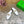 Astaire Loafer White Lambskin Ghw 176174