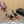 BABYLONE SLINGBACK PUMPS IN BRONZE ORANGE GLOSSY CALFSKIN