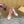 CL 25C Cassia Lace Up Alta 160mm Your Pink Silk 221613