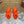 LP Vera Sandal Orange Sheepskin 307964