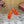 LP Vera Sandal Orange Sheepskin 307964