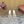 LP Vera Heeled Sandal Whisper White Sheepskin 307965