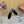 LP Vera Heeled Sandal Black Sheepskin 307966