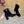 Prada 25 Boot Black Suede 498223