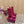 Gucci 2025 Thick-heeled Square-toed Ankle Boots Red Gold Sheepskin Fabric 498066