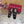 GG 26 Mule Dark Brown Sheepskin 589457