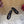 GG 26 Mule Black Sheepskin 589458