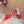 Valentino Royal Sandal 11.5cm Red Blue Leather 702274