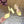 GG 26s Horsebit Platform Sandals 11cm Light Yellow Patent Leather 886499