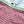 Chanel 25P Shorts Pink Mix Green Cashmere 237317