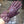 SADDLE GLOVES IN BURGUNDY RED LAMBSKIN MIX MONO JACQUARD FABRIC 427423
