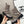 CC 26s Combat Sock Boots Taupe Calfskin Ribbed Knit 924505