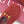 GG Mule With Horsebit Red Suede 905746
