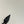 LEE SLINGBACK PUMPS 75 MM IN BLACK PATENT CALFSKIN