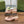 GG HORSEBIT PUMP PASTEL PINK LAMBSKIN