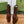 GG Horsebit Ankle Boot 95 Chocolate Calfskin