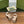 WOMEN'S HORSEBIT SLINGBACK 55MM IN WHITE CALFSKIN WITH RHINSTONES