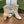 GG Horsebit Ankle Boot 95 Cream Calfskin