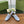 HORSEBIT LOAFER IN LIGHT BLUE SUEDE