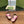 GG MID-HEELED SLINGBACK 4.5 CM IN FUSICA PINK GLOSSY CALFSKIN