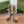 GG SHORT BOOTS 11.5 CM IN CAMEL BROWN MONOGRAM JACQUARD FABRIC
