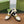 GG Marina Loafer Cream Patent Calfskin