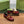 GG Marina Loafer Dark Red Patent Calfskin