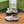 GG Ankle Boot With Horsebit 15 Grey Suede